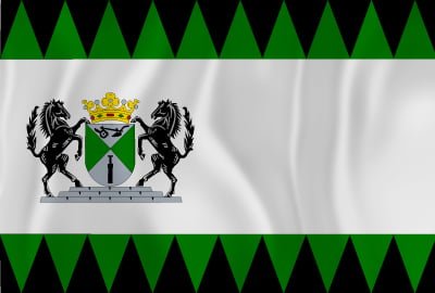 Vlag Emmen - Afbeelding 2