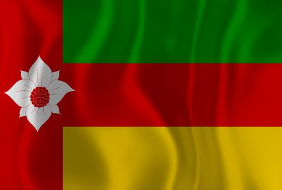 Vlag Tynaarlo - Afbeelding 2